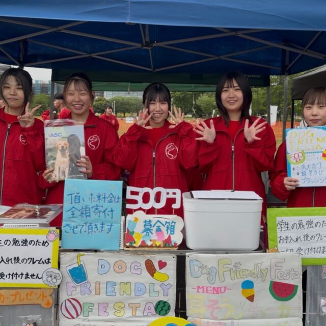 #ドッグフレンドリーフェスタ2026 に2日間参加させていただきます‼️
⁡
トリミングブーズでは 爪切り 耳掃除 ブラッシング をおこないます🐶✨️
⁡
イベント開始時間は⏰10:00〜‼️
たくさんのわんちゃんと会えるのを楽しみにしています‼️
⁡
よろしくお願いいたします👼🏻💞
🐾⁡
⁡🐾⁡
⁡🐾
#ドッグフレンドリーフェスタ 
#いばらきどうぶつ専門学校