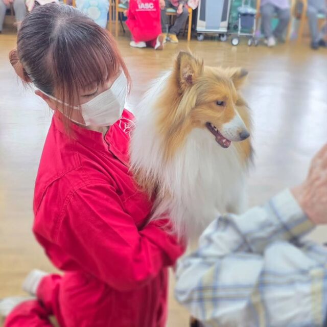 今日は#アニマルセラピー 🐶に行って来ました✨

ワンちゃんと一緒にたくさん写真撮影を行ったり、撫でて抱っこしていただきました📷️❣️

みなさん笑顔でとても嬉しかったです🐾

本日はありがとうございました🙇
またよろしくお願い致します✨
🐾
🐾
🐾
#いばらきどうぶつ専門学校 #動物専門学校 #いばどう