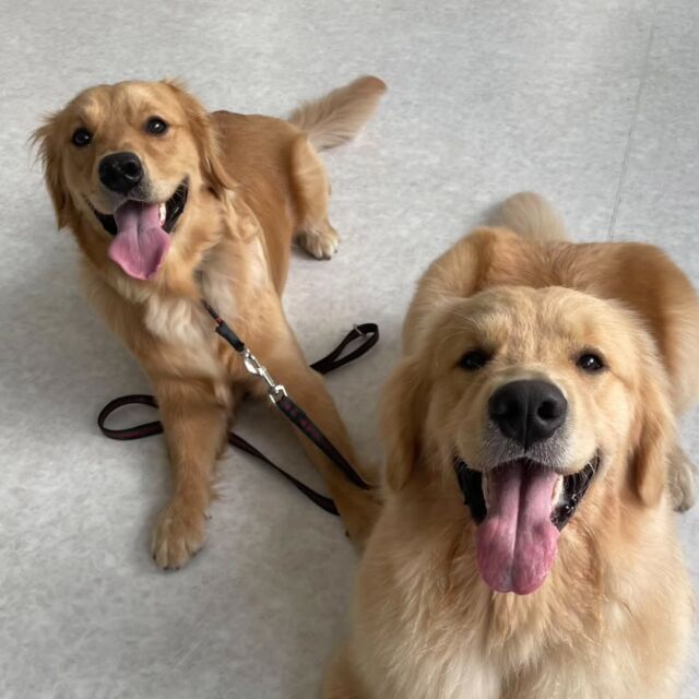Instagram 投稿 18069915593363071