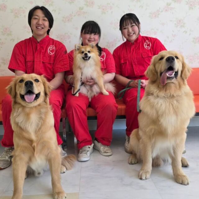 本日はオープンキャンパスにご参加いただきありがとうございました🐶👏

在校生のみんな、いつもお手伝いありがとう🙇‍♀️✨

6月になり、総合型選抜のエントリーが始まりました‼️
進路決定の参考にぜひオープンキャンパスにご参加下さい😊
可愛いワンちゃんたちとたくさん体験しましょう🎶

次回のオープンキャンパスは6月20日(土)です✨

イベントの日程やご予約はプロフィール欄からHPへGO👉️@iasc_iasc
🐾
🐾
🐾
#いばらきとうぶつ専門学校#動物専門学校#いばどう#在校生ありがとう #現役のプロから教わる授業