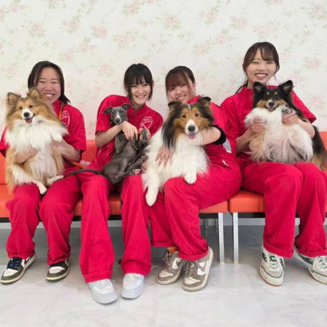 本日はオープンキャンパスにご参加いただきありがとうございました☺️✨

在学生のみんな😊いつもお手伝いありがとう🙇‍♀️

今日もたくさんの方がオープンキャンパスに参加し、楽しそうに体験してくれました💕

6月から総合型選抜が開始していますので、ぜひ学校選びのためにも見学に来て比べてみてください🐶

次回のオープンキャンパスは7月11日(土)です✨

イベントの日程やご予約はプロフィール欄からHPへGO👉️@iasc_iasc
🐾
🐾
🐾
#いばらきとうぶつ専門学校#動物専門学校#いばどう#在校生ありがとう #現役のプロから教わる授業