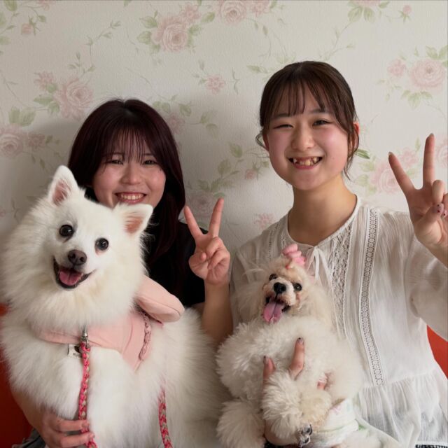 今日もたくさんの卒業生達が遊びに来てくれました💞

⁡卒業してからも大活躍😌💓
お仕事も順調そうでよかったです😎
⁡
大会での入賞結果報告まで🤭🤭
㊗️おめでとう🎊
⁡
また遊びに来てね✋💕︎
🐾
🐾
🐾⁡
⁡⁡⁡#いばらきどうぶつ専門学校 #動物専門学校 #いばどう #可愛い卒業生 #iASC自慢の卒業生