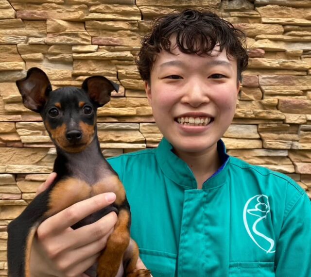 #担当犬🐶 が来ました✨

#ミニチュアピンシャー 「心」(ここ)くん🦖
やんちゃな男の子💙
これから一緒に頑張ろうね✌

🐾
🐾
🐾
#いばらきどうぶつ専門学校 #動物専門学校 #オンリーワンちゃん