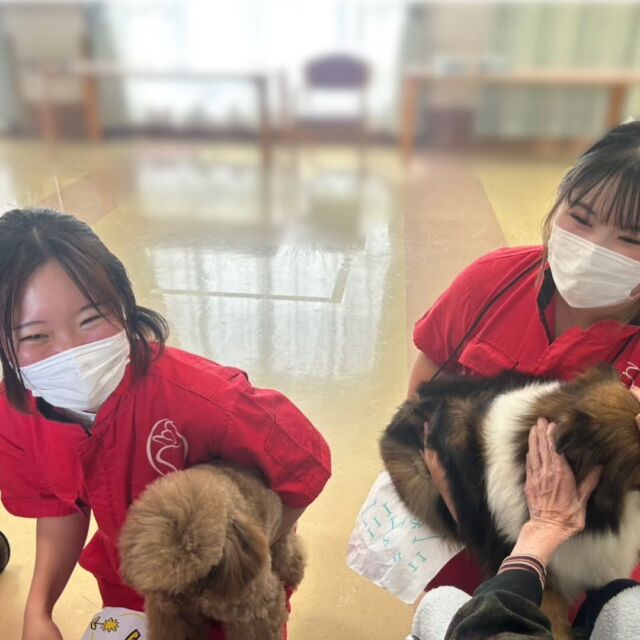 今日は#アニマルセラピー 🐶🌼に行ってきました✨
　
ワンちゃん🐶を抱っこしたり、触ったりするとニコニコと笑ってくれたり、癒されたと言ってくださったり、楽しくお話出来ました☺️🐾
　
今日はありがとうございました🎶
またよろしくお願い致します🙇‍♀️
🐾
🐾
🐾⁡
#いばらきどうぶつ専門学校 #動物専門学校 #いばどう