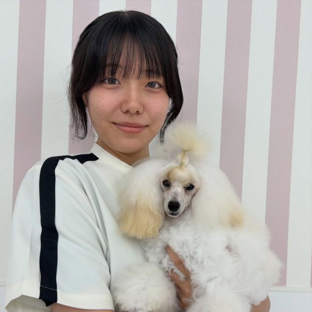 #担当犬🐶 が来ました✨

#トイプードル の 「けま」ちゃん🧶
⁡
元気いっぱいなやんちゃっ子です🤫
パワフルな性格にママも惚れ惚れしています😊
⁡
これからがんばろう〜‼️
🐾
🐾
🐾
#いばらきどうぶつ専門学校 #動物専門学校 #オンリーワンちゃん