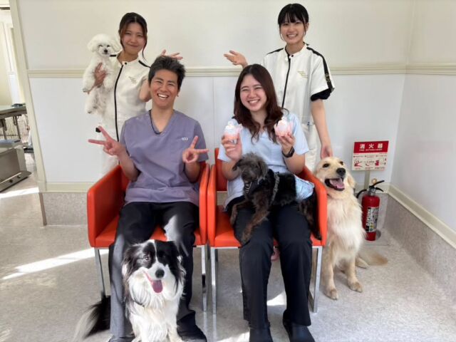 今日は獣医師I先生と動物看護師M先生による手術実習と採血実習がありました✨ ⁡
⁡
５月から何度も臨床実習を頑張っている1年生も６月から助手に入って少しずつできることが増えてきました🩺👏

さすがの2年生は、手際良く、獣医先生のサポート、ワンちゃんたちの接し方は、スムーズ🐶✨

手術のあとは診察、採血、健康チェック、ワクチン接種と看護実習がモリモリの１日でした💉❣️

I 先生、M先生、本日もありがとうございました✨
次回もよろしくお願い致します！

みんなも今日もお疲れ様でした🙌
🐾
 🐾
 🐾
 #いばらきどうぶつ専門学校 #動物看護師 #動物専門学校 #いばどう #現役のプロから教わる授業
