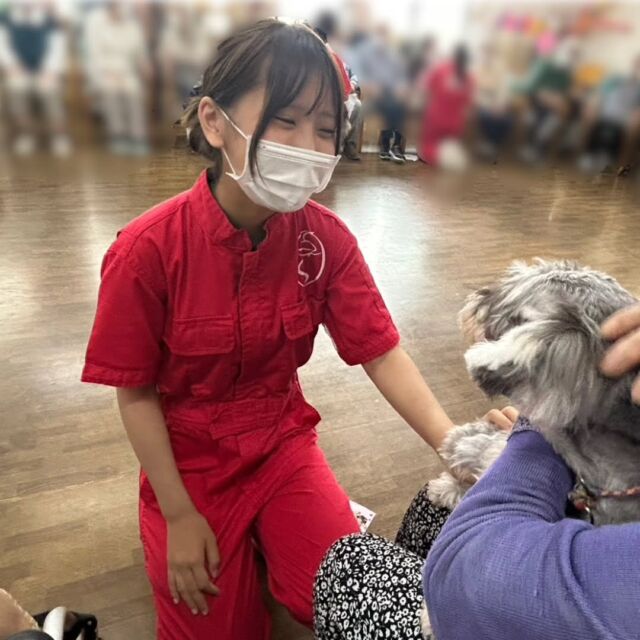 今日は#アニマルセラピー 🐶🌼に行ってきました✨
　
ワンちゃん飼っている方が多くたくさん方に撫でてもらいました😊💕

ワンちゃん🐶を膝の上に乗せてもらい、写真もたくさん撮って頂きました✨

今日はありがとうございました🎶
またよろしくお願い致します🙇‍♀️
🐾
🐾
🐾⁡
#いばらきどうぶつ専門学校 #動物専門学校 #いばどう