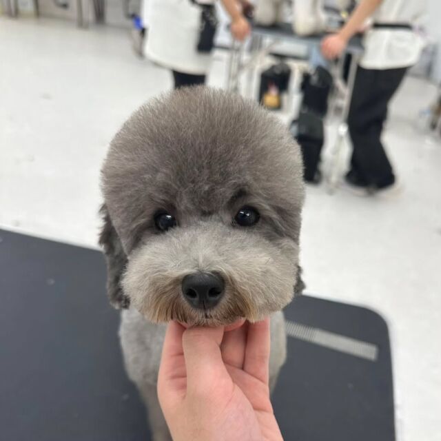 Instagram 投稿 18332936599265661