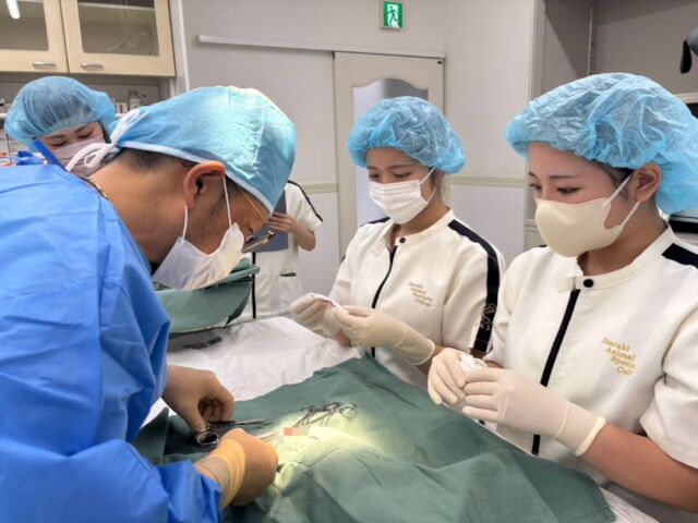 今週は本日も #手術実習 です💫

本日は獣医師K先生による3件の手術実習！

手術実習を通して、更に子宮蓄膿症の恐ろしさ実際に学ぶことができました🦷✨

午後からはワクチン実習💉❣️
健康チェックや保定をすることができました〜🐶🩵

K先生、本日も看護実習モリモリでしたが、ありがとうございました💕
また、術後の管理のアドバイスもよろしくお願い致します🙇

明日もよろしくお願いいたします🙌
🐾
 🐾
 🐾
 #いばらきどうぶつ専門学校 #動物専門学校 #いばどう #現役のプロから教わる授業