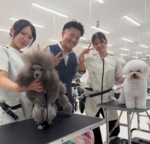 .
本日は世界で活躍されているS先生による美容実習がありました✨
⁡⁡
⁡難しいカットスタイルに挑戦している学生たち💭
カットもセットも沢山アドバイスをいただき
「うまい！」なんて嬉しいお言葉も👂💕
⁡
みんなよく頑張れました💪
🐾
🐾
🐾
 #いばらきどうぶつ専門学校 #動物専門学校 #現役のプロから教わる授業 #トイブードル #ビジョンフリーゼ