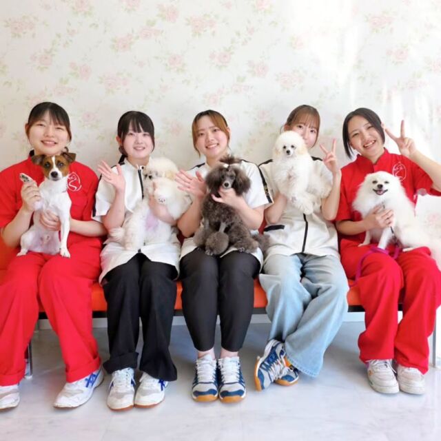 本日はオープンキャンパスにご参加いただきありがとうございました☺️✨

在学生のみんな✨いつもお手伝いありがとう🙇‍♀️

いよいよ高校は夏休みに入りましたね🍉🎐
夏休みを利用して、ぜひオープンキャンパスに参加して色々体験して下さい😊💕

次回のオープンキャンパスは8月8日(土)です✨

イベントの日程やご予約はプロフィール欄からHPへGO👉️@iasc_iasc
🐾
🐾
🐾
#いばらきとうぶつ専門学校#動物専門学校#いばどう#在校生ありがとう