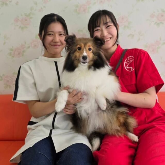 本日はオープンキャンパスにご参加いただきありがとうございました👏💕

在学生のみんな✨いつもお手伝いありがとう🙇‍♀️

夏休み中のオープンキャンパスはたくさんの方に来て頂き、賑やかで楽しく体験できました☺️👍️

可愛いワンちゃんたちがいっぱいの学校にぜひ見学、体験に来てください🎶

次回のオープンキャンパスは8月29日(土)です✨

イベントの日程やご予約はプロフィール欄からHPへGO👉️@iasc_iasc
🐾
🐾
🐾
#いばらきとうぶつ専門学校#動物専門学校#いばどう#在校生ありがとう