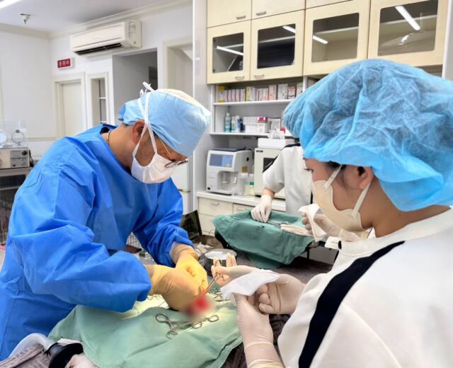 本日はK先生による #手術実習 2件とワクチン実習がありました✨

肥満時に手術を行う際のリスクや麻酔のリスク、大きい子や元気な子達の保定のコツを丁寧に教えていただきました🩺

麻酔後に起こり得る副作用等も詳しく教えていただきました💕
手術後の管理も看護師のとっても重要な仕事の一つ👍️
しっかり様子をみてあげようね👀💉
K先生ご指導よろしくお願いいたします！

みんなお疲れ様☺️
K先生本日もありがとうございました🙇‍♀️
明日もよろしくお願いします✨
 🐾
 🐾
 🐾
 #いばらきどうぶつ専門学校 #動物専門学校 #いばどう #現役のプロから教わる授業