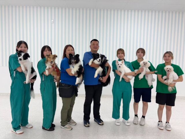 #訓練実習 は犬🐶のしつけ、訓練教室オーナーのS先生とH先生の授業でした✨

今日は訓練の授業を行いました✨
1年生の担当犬も見ていただいてたくさん課題が見つかりました😊

先生、次回もよろしくお願いいたします🙇
🐾⁡
⁡🐾⁡
⁡🐾
⁡⁡⁡⁡#いばらきどうぶつ専門学校 #いばらき動物専門学院 #動物専門学校 #いばどう