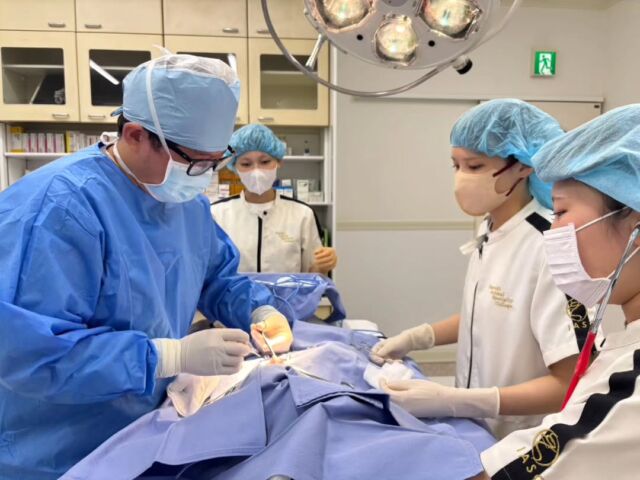 本日は獣医師N先生による#手術実習 を行いました✨

夏休み明け久しぶりの手術実習❣️
久しぶりの実習に戸惑った様子でしたが全員で無事手術を終えることができました👏✨

N先生、本日もありがとうございました🙇
次回もよろしくお願いいたします😊
🐾
 🐾
 🐾
 #いばらきどうぶつ専門学校 #いばどう #動物専門学校 #現役のプロから教わる授業