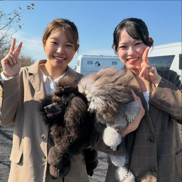 今日は#ドッグショー 🐩✨️

初めてのドッグショーに向けて#ショーカット や#ハンドリング をたくさん練習してきました💪

会場について緊張している様子も💭

頑張っていこう~🙌
🐾
🐾
🐾
#いばらきどうぶつ専門学校