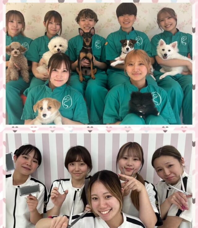 本日はオープンキャンパスにご参加いただきありがとうございました✨

今日から１年生がお手伝いをしてくれました💕

緊張しながらも来てくれた高校生と楽しくお話していました💮

次回のオープンキャンパスは11月14日(土)です✨

イベントの日程やご予約はプロフィール欄から
HPへGO👉@iasc_iasc
🐾
🐾
🐾
⁡⁡⁡⁡⁡⁡#いばらきどうぶつ専門学校 #動物専門学校 #いばどう#在校生ありがとう