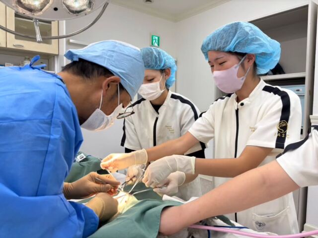 本日は#避妊手術 を行いました❗️

乳腺腫瘍の怖さや命の大切さを学ぶことができました😌🍀
明日の手術準備や今後のワンちゃんの体調管理をしっかりしていこうね🩺🫧

K先生、ありがとうございました🙌
明日もよろしくお願いします✨
 🐾
 🐾
 🐾
 #いばらきどうぶつ専門学校 #動物専門学校 #いばどう #現役のプロから教わる授業