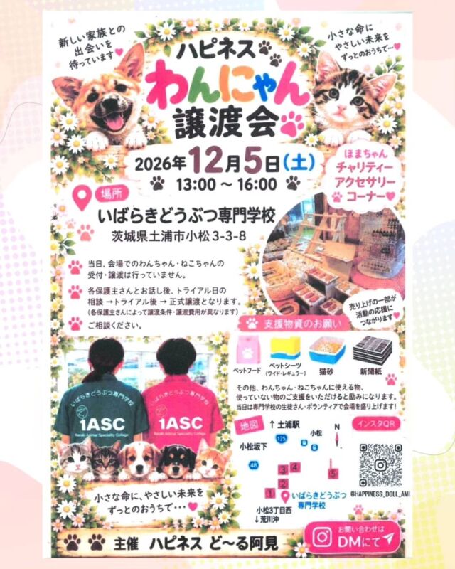 🐶イベント情報🐱
⁡
🌟🐾ハピネスわんにゃん譲渡会🐾🌟

個人ボランティア様が開催する保護犬猫譲渡会です。

お問い合わせは、こちらまで↓
🌟@happiness_doll_ami 🌟

主催：🐶ハピネス ど〜る阿見 様 🐶
日付：2026年12月5日(土)🗓
時間：13:00 〜 16:00 ⏰
会場：いばらきどうぶつ専門学校
 📍茨城県土浦市小松3-3-8
🐾
🐾
🐾
 #ハピネスど〜る阿見  #ハピネスわんにゃん譲渡会　#いばらきどうぶつ専門学校