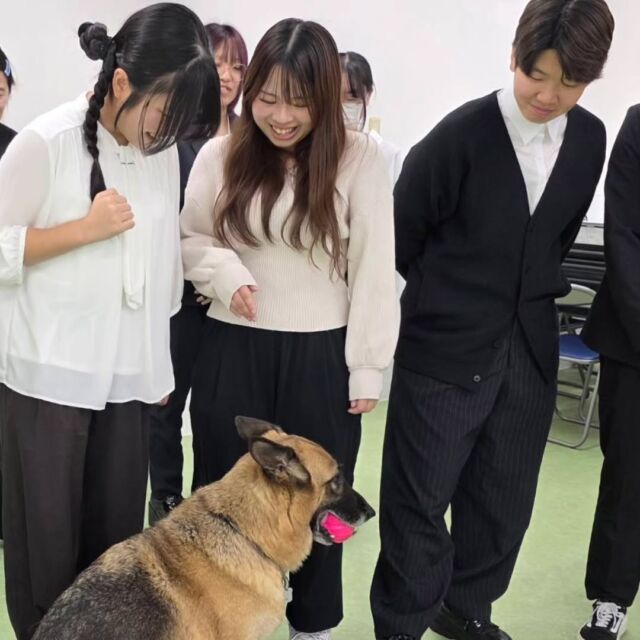 今日の1年生の授業は、就職ガイダンスを行いました👔✨

午後から、警察の方と警察犬に来て頂き、デモンストレーションや警察や警察犬の活動について色々教えて頂きました😊

1年生は警察や警察犬についての説明を聞き、メモを取ったり、質問をしたり、真剣に話を聞いていました🎶

実際に見て、聞いてみると今まで知らなかったことや新たな発見があり、とても勉強になりました!!

本日はありがとうございました🐕️
またよろしくお願いいたします🙇
 🐾
 🐾
 🐾
 #いばらきどうぶつ専門学校 #動物専門学校 #いばどう #警察犬 #就職活動