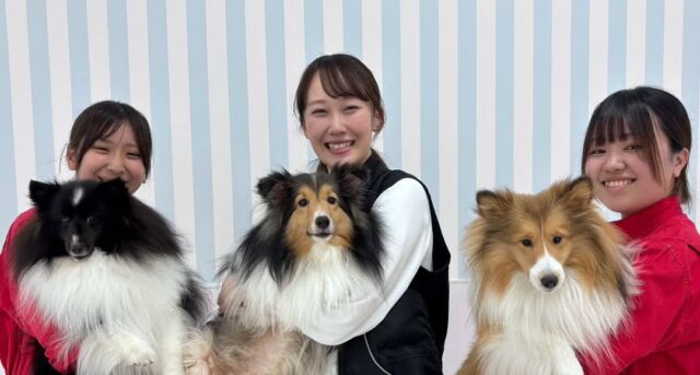 今日から#訓練実習 に今の素晴らしい現役のプロの方々に加え、犬🐶のしつけ教室オーナーのＹ先生もiASC 家庭犬訓練学科を指導してくださることになりました🥳

現役のプロの目線👀で接客のポイントやわんちゃんのとのコミュニケーションを重点的に指導をしていただきました☺️

先生、次回もよろしくお願いいたします🙇
🐾⁡
⁡🐾⁡
⁡🐾
⁡⁡⁡⁡#いばらきどうぶつ専門学校 #いばらき動物専門学院 #動物専門学校 #いばどう